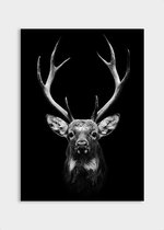 Poster Dark Deer - Dibond - Meerdere Afmetingen & Prijzen | Wanddecoratie - Interieur - Art - Wonen - Schilderij - Kunst