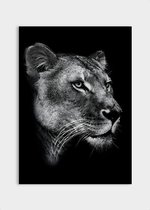 Poster Dark Lioness - Plexiglas - Meerdere Afmetingen & Prijzen | Wanddecoratie - Interieur - Art - Wonen - Schilderij - Kunst