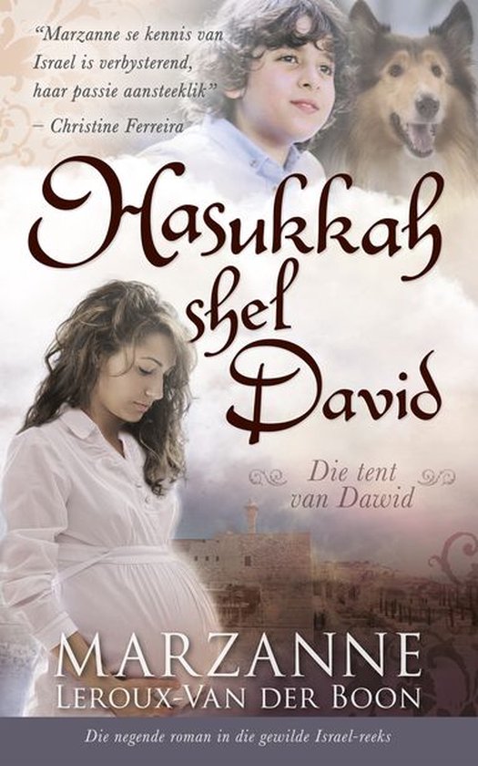 Israel-reeks 9: Hasukkah shel David - cover