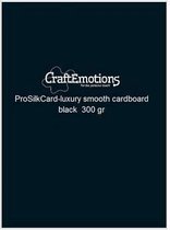 CraftEmotions ProSilkCard - luxe glad karton zwart 50 vl A4 - 300 gr