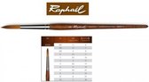 Raphael Precision Aquarelverf penseel rond 8