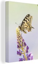 Canvas Schilderij Koninginnepage vlinder op een bloem - 60x90 cm - Wanddecoratie