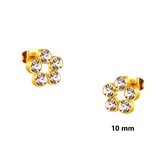 Aramat jewels ® - Zweerknopjes- oorbellen rond-chirurgisch staal-10mm-goudkleurig