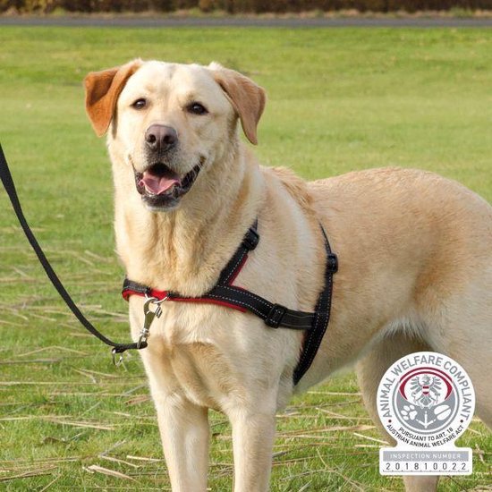 Trixie tuig voor hond trainingstuig voor hond lead'n'walk soft zwart 65-105x2,5 cm