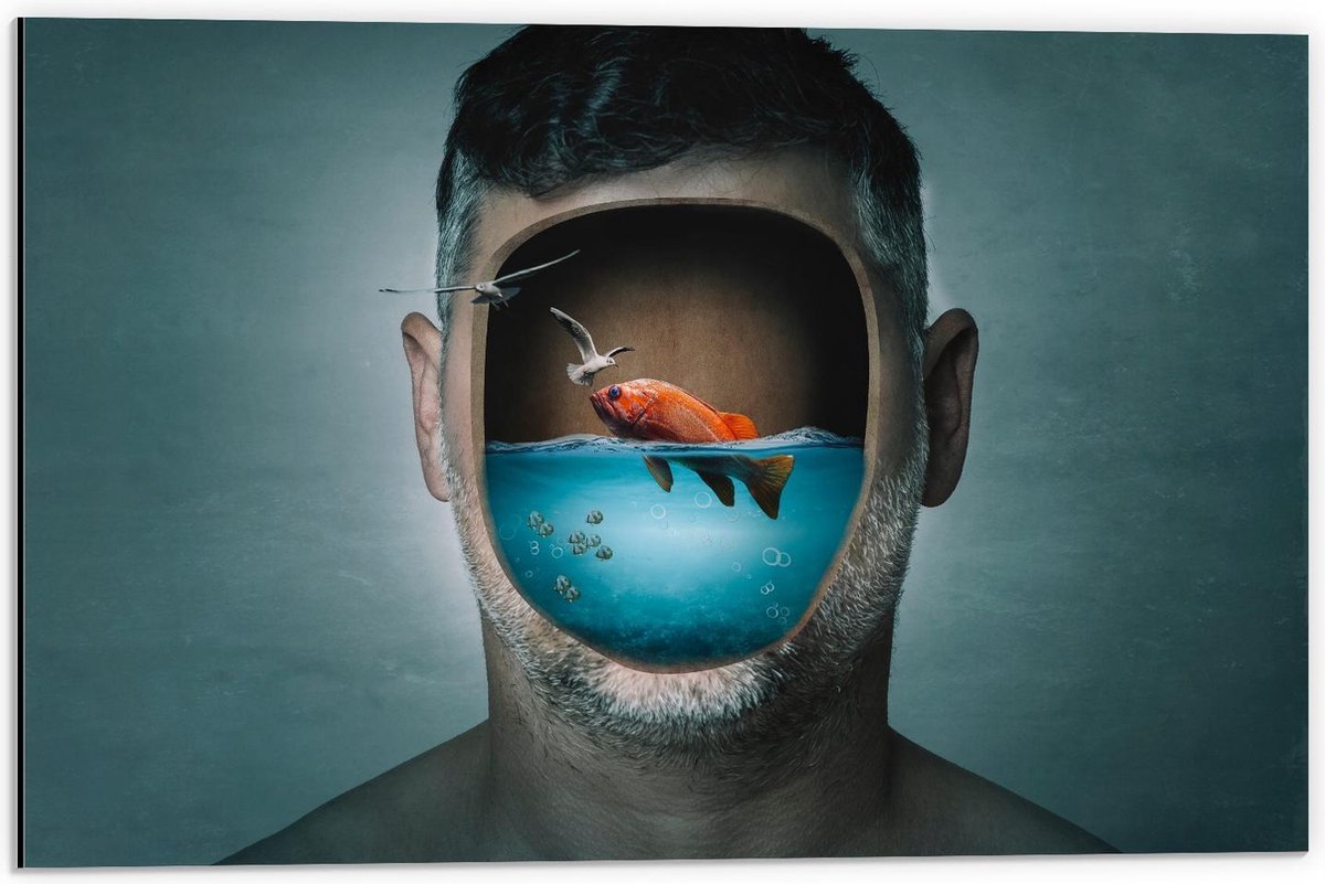 Dibond - Aquarium Hoofd van Man - 60x40cm Foto op Aluminium (Met Ophangsysteem)