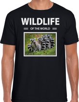 Dieren foto t-shirt Ringstaart maki - zwart - heren - wildlife of the world - cadeau shirt apen liefhebber M