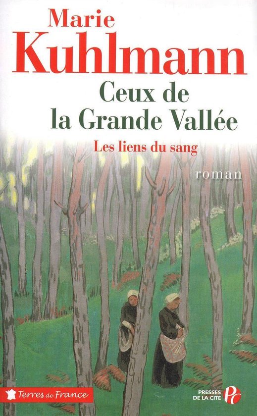 Terres de France - Ceux de la grande vallée T01 Les liens du sang