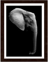 Foto in frame , Olifant , 3 maten , Zwart wit , wanddecoratie , Premium print