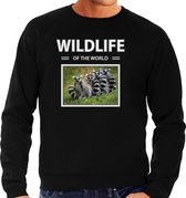 Dieren foto sweater Ringstaart maki - zwart - heren - wildlife of the world - cadeau trui Apen liefhebber S