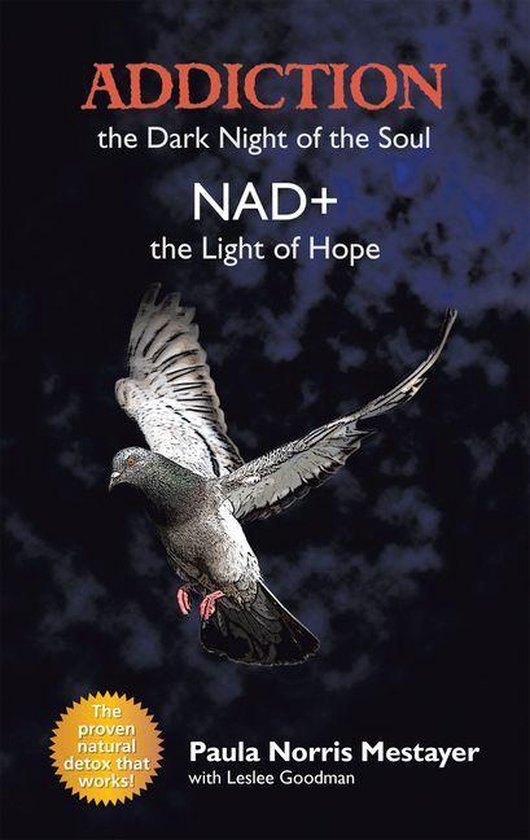 Addiction: the Dark Night of the Soul/ Nad+: the Light of Ho ... - cover