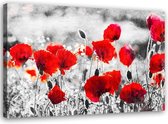 Schilderij Klaprozen, 2 maten, zwart-wit/rood, Premium print