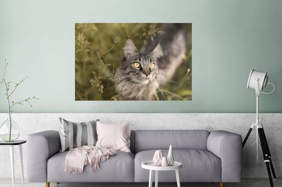 Un chat Maine Coon entre les hautes herbes Poster 180x120 cm - Tirage photo sur Poster (décoration murale salon / chambre) / Poster Animaux domestiques XXL / Groot format!