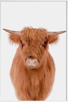 JUNIQE - Poster in kunststof lijst Young Highland Cow -40x60 /Bruin