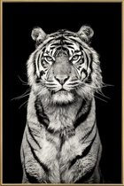 JUNIQE - Poster met kunststof lijst Head of the Pack -30x45 /Grijs &