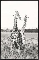 JUNIQE - Poster in kunststof lijst Giraffenpaar -60x90 /Grijs & Wit
