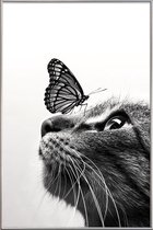 JUNIQE - Poster met kunststof lijst Butterfly Kiss -40x60 /Grijs