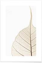 JUNIQE - Poster Translucent Leaf -13x18 /Wit