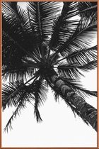 JUNIQE - Poster met kunststof lijst Propeller Palm -60x90 /Grijs & Wit