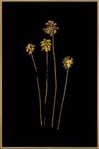 JUNIQE - Poster met kunststof lijst Palm Silhouettes gouden -30x45
