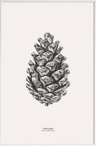 JUNIQE - Poster in kunststof lijst Pinecone -60x90 /Grijs & Ivoor