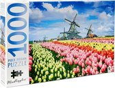 Hollandse Molens en Tulpen - Hinkler Mindbogglers Puzzel - 1000 Stukjes
