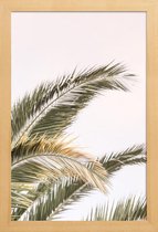 JUNIQE - Poster in houten lijst Oasis Palm 3 -20x30 /Groen