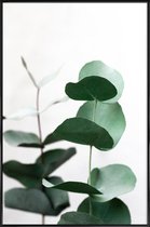 JUNIQE - Poster in kunststof lijst Eucalyptus 5 -20x30 /Groen & Wit