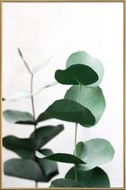 JUNIQE - Poster met kunststof lijst Eucalyptus 5 -13x18 /Groen & Wit