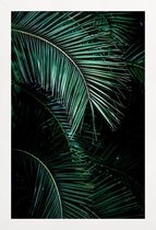 JUNIQE - Poster in houten lijst Palmbladeren -20x30 /Groen & Zwart