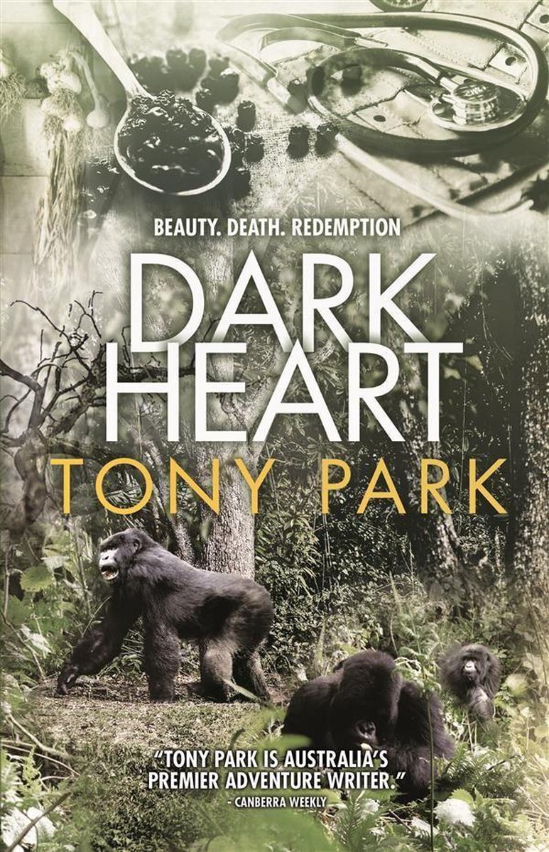 Omslag van Dark Heart