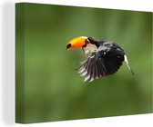Un toucan vole sur fond vert Toile 120x80 cm - Tirage photo sur toile (Décoration murale salon / chambre)