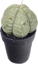 Cactuskaars model 1