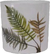 Gina Da - Delta Fern - Bloempot - Ø 15 cm  - wit