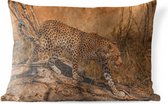 Buitenkussens - Tuin - Een luipaard met gecamoufleerd patroon - 60x40 cm