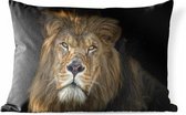 Buitenkussens - Tuin - Close-up van een leeuw op een donkere achtergrond - 60x40 cm
