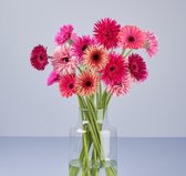 Bloom Makery - Creatieve Favoriet - Bloemen - Boeket- 24 Gerbera's