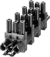 Adels-Contact AC 166 GVT 6/ 3 SCHWARZ MIT VS. Net-splitter [Netstekker - Netbus, Netbus, Netbus, Netbus, Netbus] Totaal aantal polen: 2 + PE Zwart 1 stuk(s)