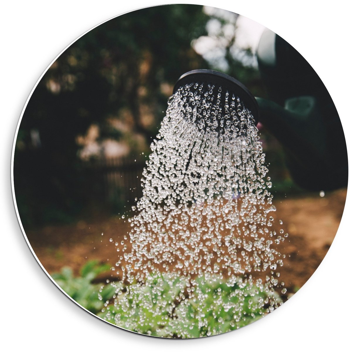 KuijsFotoprint - Schilderij - Regendouche In De Natuur - Zwart, Wit, Groen En Bruin - 40 X