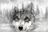 Schilderij Wolf in een besneeuwd bos, 2 maten, zwart-wit
