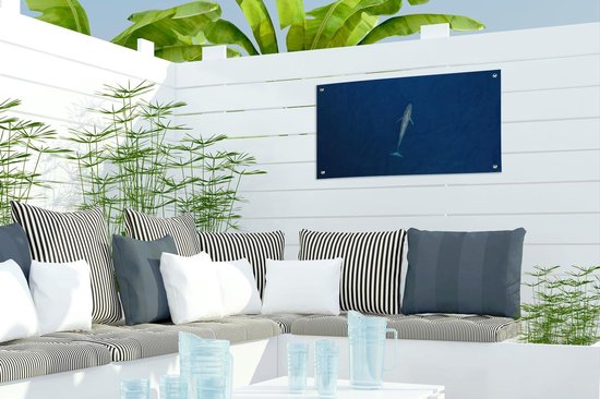 Une baleine bleue d'en haut Poster de jardin 60x30 cm - petit - Toile de jardin / Toile d'extérieur / Peintures pour l'extérieur (décoration de jardin)