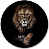 Wandcirkel Lion King op hout - WallCatcher | Multiplex 100 cm rond | Houten muurcirkel Leeuw