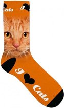 sokken Kat polyester oranje maat 31-36