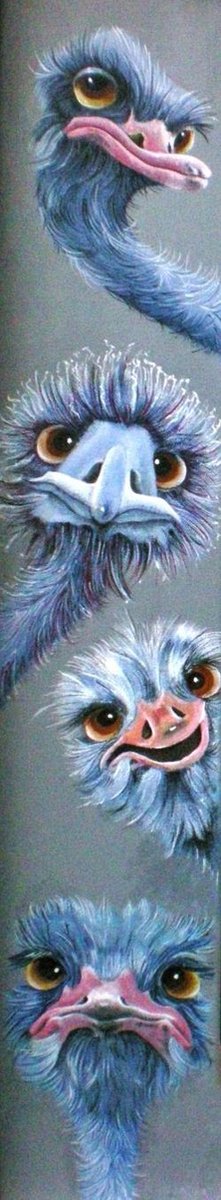 Diamond Painting Grappige struisvogels 20x110cm. (Volledige bedekking -  Vierkante... | bol.com