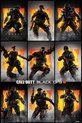 Call of Duty: Black Ops 4 - Characters Maxi Poster