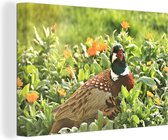 Tableau sur toile Vogel - Fleurs - Faisan - 90x60 cm - Décoration murale