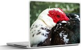 Laptop sticker - 13.3 inch - Eend - Vogel - Veren