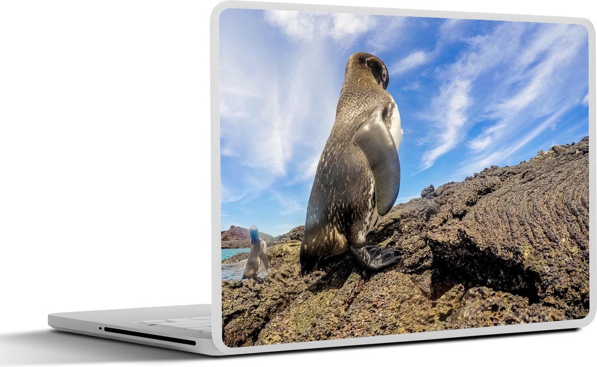 Laptop sticker - 13.3 inch - Een galapagospinguïn op het vaste land