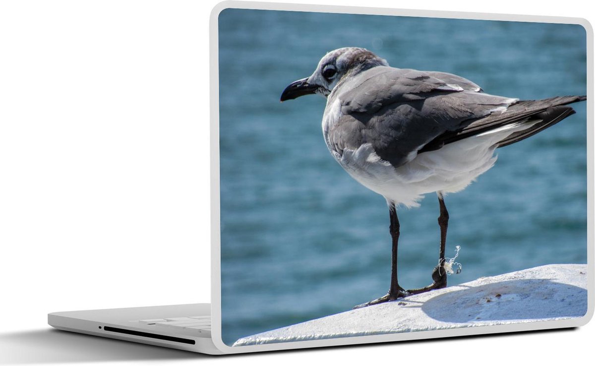 Afbeelding van product SleevesAndCases  Laptop sticker - 10.1 inch - Lachmeeuw aan het water