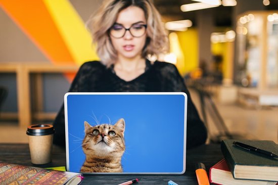 Autocollant pour ordinateur portable - 13,3 pouces - Chat - Marron - Ciel - Filles - Enfants - Garçons - Kids