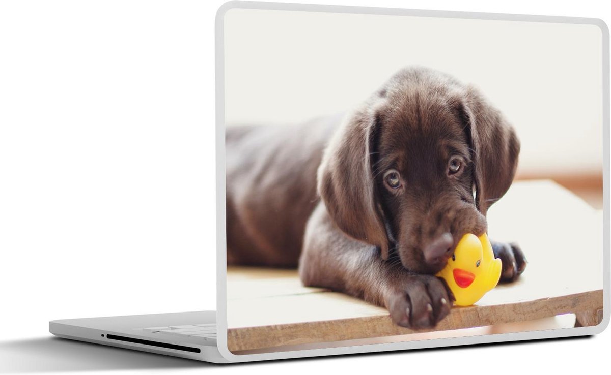 Afbeelding van product SleevesAndCases  Laptop sticker - 15.6 inch - Chocolate Labrador Retriever puppy